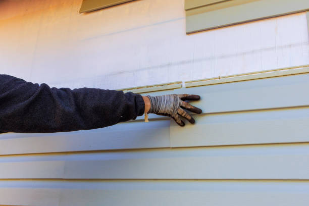 Best Custom Trim and Detailing for Siding  in Walnut Park, CA